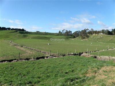 82 Hukutaia Road, Opotiki and Surrounds