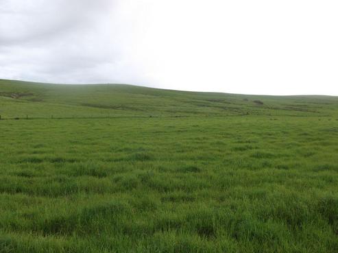 393 Pekerau Road, Karikari Peninsula