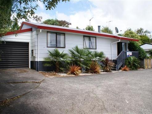 15A David Street, Nawton