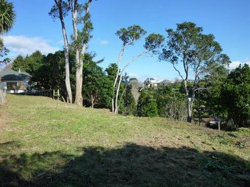 100B Carrington Street, Lower Vogeltown