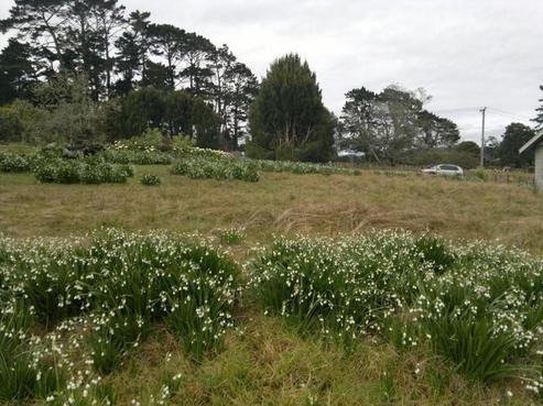 46 O'Neills Road, Swanson