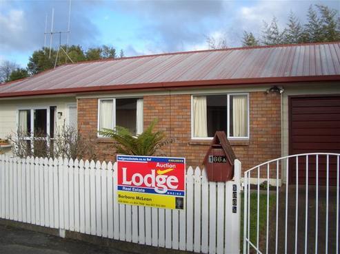166A Nixon Street, Hamilton East