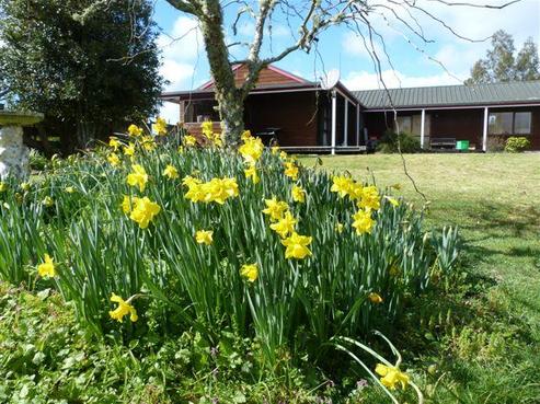 1139 State Highway 1, Okaihau