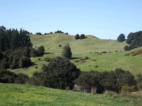 227 Marlow Road, Ruatangata