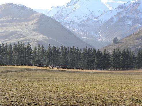 342 Kane Road, Hawea Flat