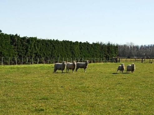 52 Fernside Road, Rangiora
