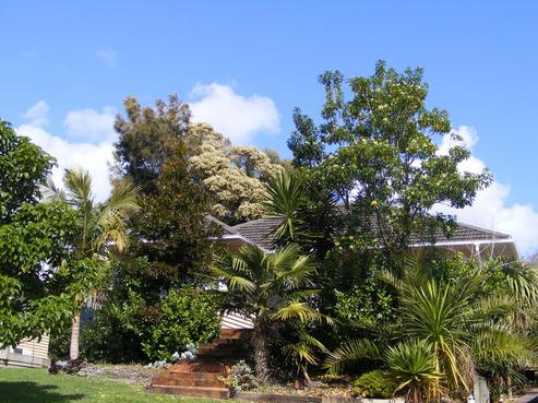 10B Earl Road, Titirangi