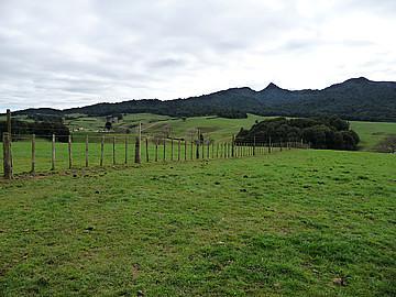 2296 Arapuni Road, Pukeatua