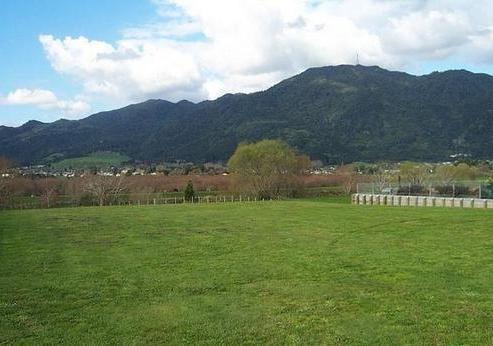 37 Vogel Place, Te Aroha