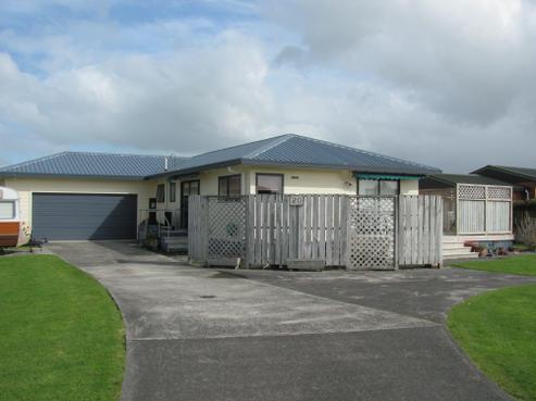 20 Madgwick Place, Ngatea