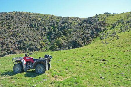 100 Bulls Run Road, Moonshine Valley