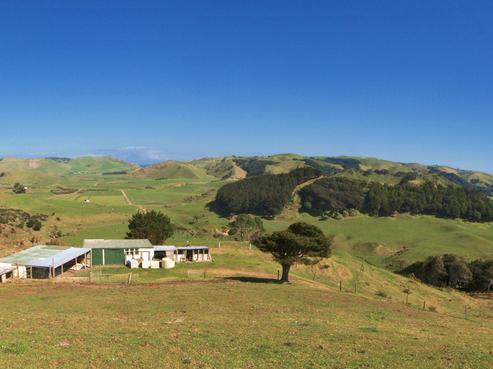 77 Kemp Road, Massey