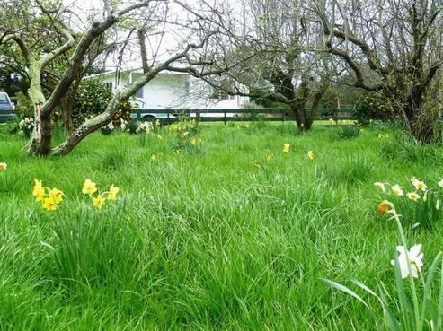 217 Foxton Shannon Road, Foxton