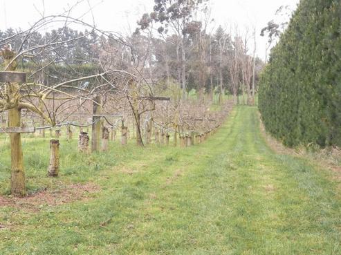 248 Blueskin Road, Brunswick