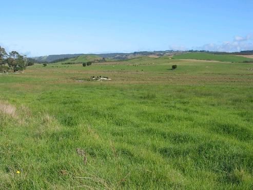 562B Waimate North Road, Kerikeri