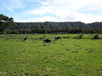 333 Slaty Creek Road, Atarau