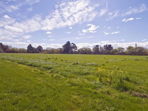 250 Revells Road, Kaiapoi