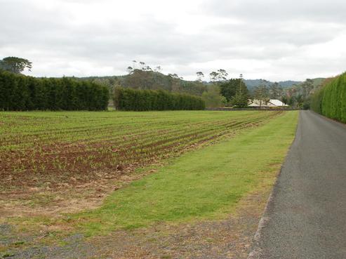 635 Ngunguru Road, Glenbervie