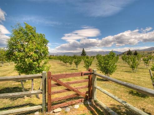 10 Scott Terrace, Cromwell