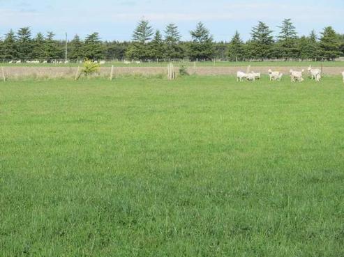 2107 South Eyre Road, West Eyreton