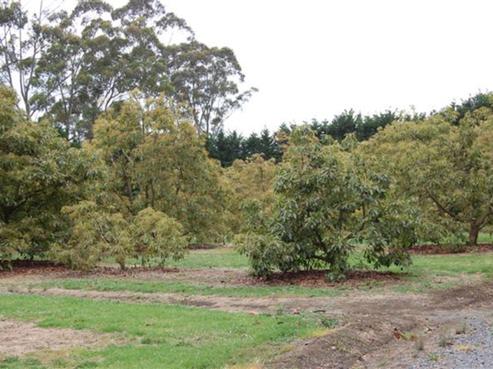 20 Proctor Road, Poroti