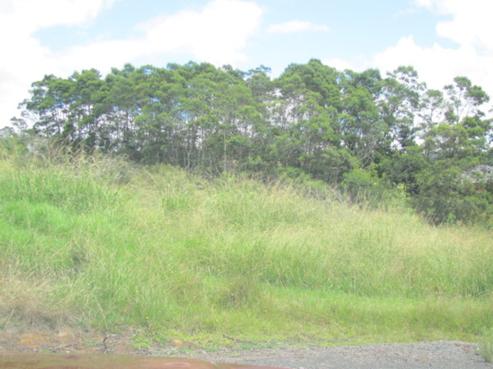 8 Teal Lane, Raumanga