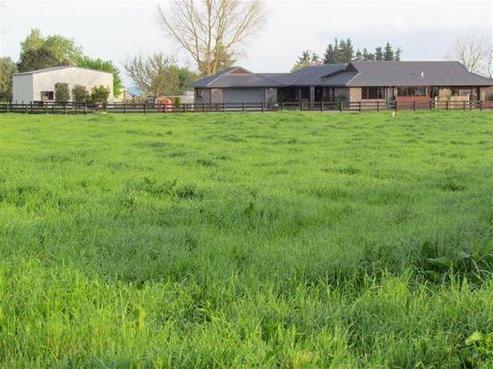 136 Frontier Road, Te Awamutu