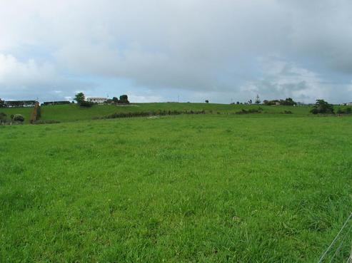 80 Whiriwhiri Road, Waiuku