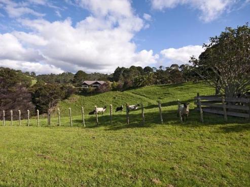 9 Collings Drive, Lucas Heights