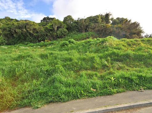 13 Marsh Way, Kaiwharawhara