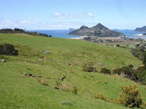 386 Main Road, Tairua