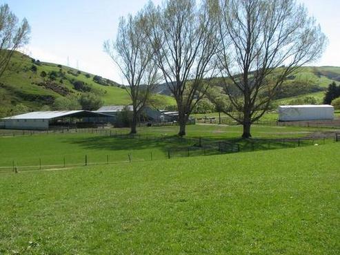 8 Munro Road, Lawrence