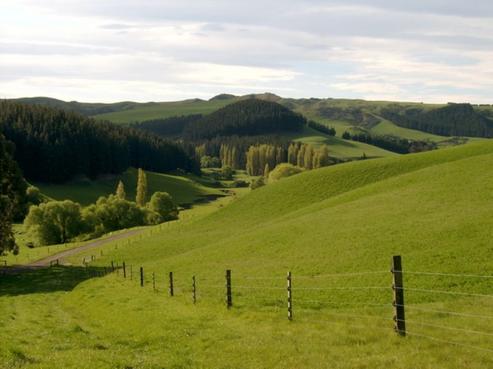 883 Glenmark Drive, Waipara