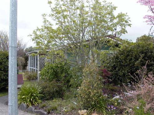 12 Kapui Place, Waitara