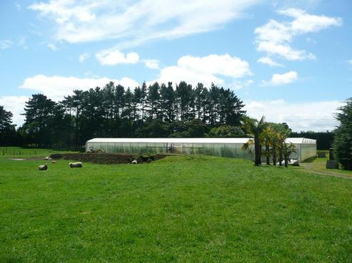 301A Oira Road, Karaka