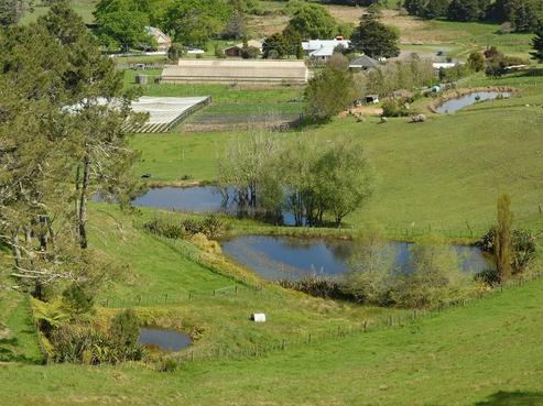 86 Ngunguru Road, Glenbervie