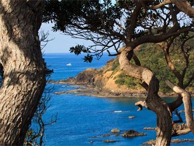 115 Landowners Lane, Tutukaka