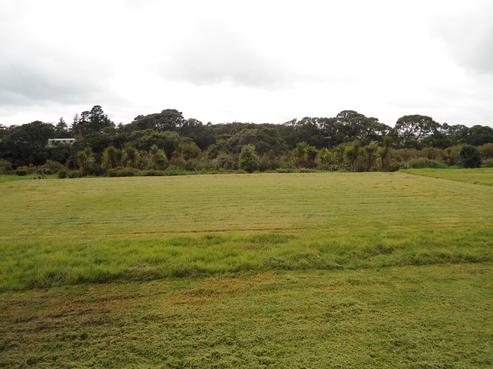 7 Waimanu Place, Ruakaka
