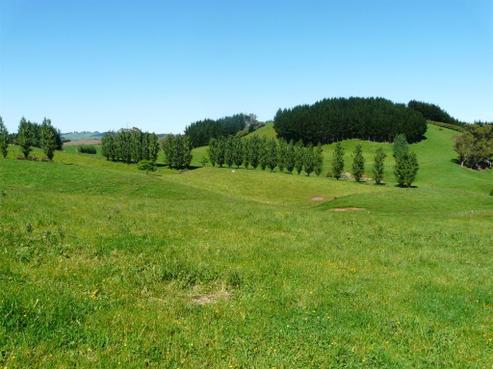 228 Hewer Road, Otorohanga