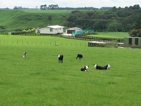 765 State Highway 3, Kaitoke