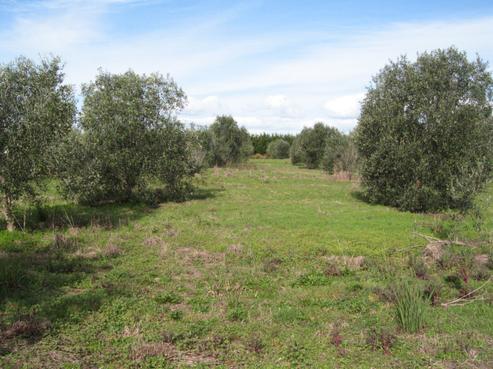 1406A Inland Road, Karikari Peninsula