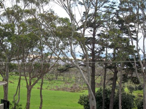 62 Matai Bay Road, Karikari Peninsula