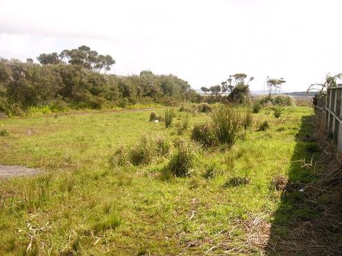 66 Inland Road, Karikari Peninsula
