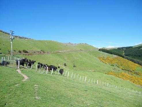 121 Goughs Road, Akaroa