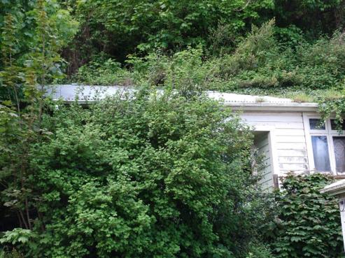 22 Clark Street, Dunedin Central