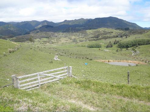 181 Koutu Loop Road, Opononi