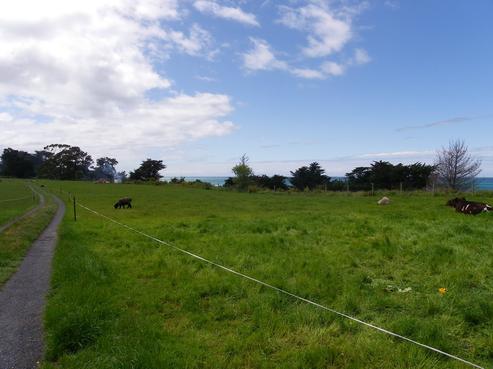 89 Skevingtons Road, Hapuku