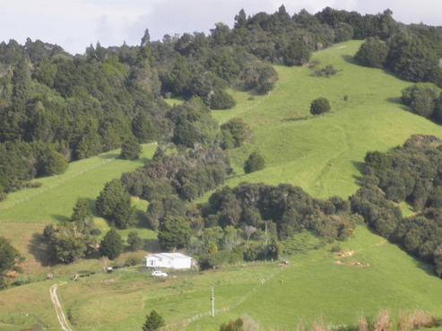 247 Paranui-toatoa Road, Taipa