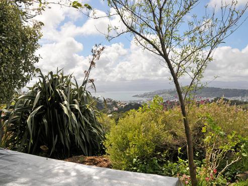 88 Mount Pleasant Road, Aro Valley