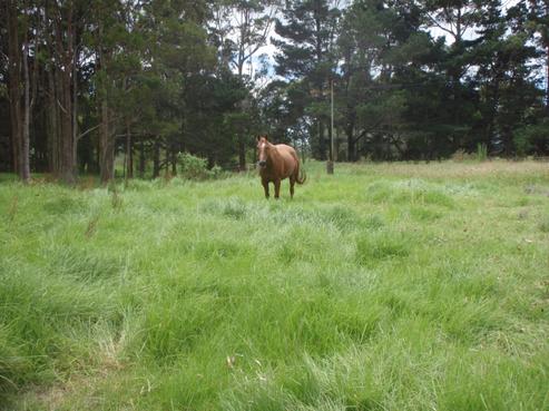 57C North Road, Kaitaia